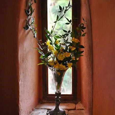 Domenicale Villa Agios Markos